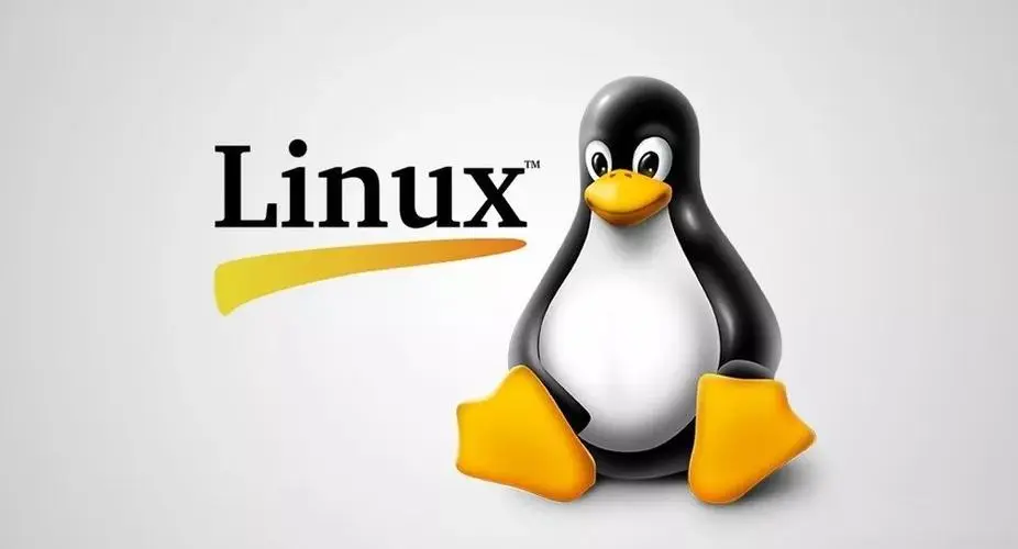 Linux基础